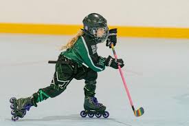 Image result for Vipers Roller Hockey Team