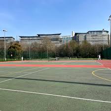 Image result for Battersea Park Millennium Arena