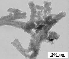 Image result for Sfânta Iuliana Falconieri