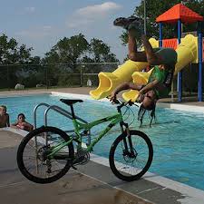 Image result for biker fox