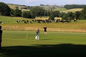 Image result for Bideford/Littleham/Westward Ho Cricket Club