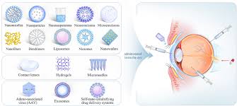 「pvAj[MjA」の画像検索結果