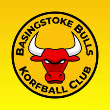 Image result for Basingstoke Demons Floorball Club