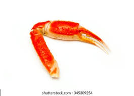 Image result for Chionoecetes opilio