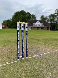 Image result for Merrow Cricket Club