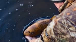 Image result for Dunham Massey Angling Club