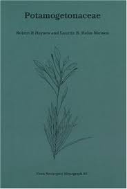 Attēlu rezultāti vaicājumam “Potamogetonaceae”