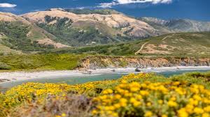 Image result for Ancestral Mountains