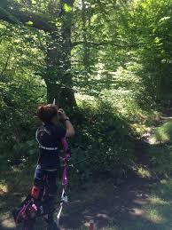 Image result for Pentref Bowmen