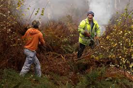 Image result for Lynchmere Cricket Club