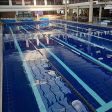 Image result for Dearne Valley Swimming Club
