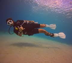 Image result for Duchy Divers