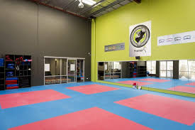 Image result for Awesome Martial Arts Training Center
