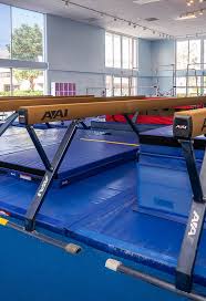 Image result for Arun Gymnastics Club