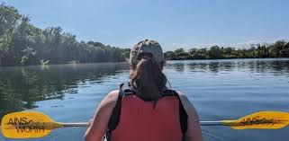 Image result for Mole Valley Sub Aqua Club