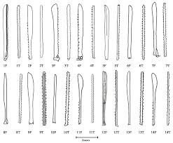 Attēlu rezultāti vaicājumam “Tettigoniodea”