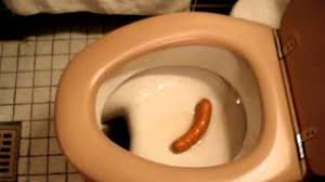 Image result for german toilet