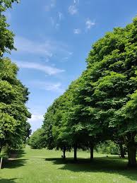 Image result for Letchworth Garden City Conservative Bowls Club