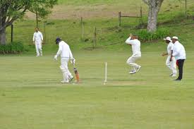 Image result for Southwell Cricket Club