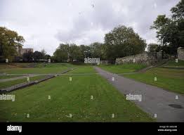 Image result for Barking Abbey Ishinryu