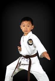 Image result for Suwanee Martial Arts Center