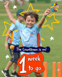 Image result for Alne Cricket Club