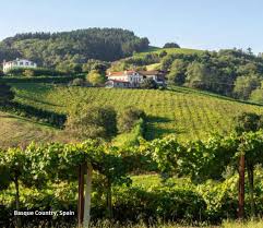 Image result for Reparudasu