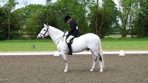 Image result for Bookham Riding School