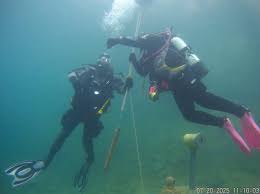 Image result for Hartlepool Divers Bsac Branch 0985
