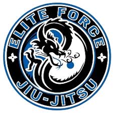 Image result for Elite Force Martial Arts