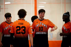 Image result for Berkshire Royals Dodgeball Club