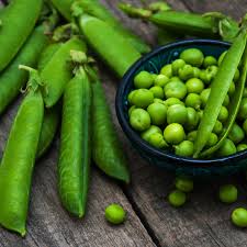 Attēlu rezultāti vaicājumam “Pisum sativum”