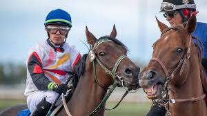 Image result for The Horse Racing Club