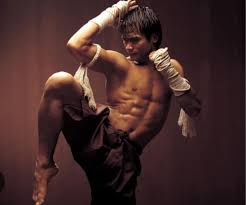 Image result for Enfield T'ai Tsung Chinese Boxing