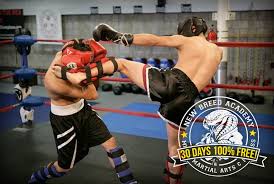 Image result for Nu Breed Wrestling Academy
