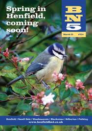 Image result for Henfield Heat Basketball Club