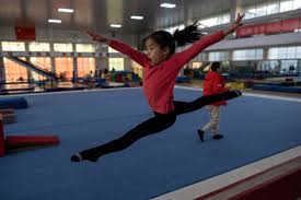 Image result for Focus Institute of Gymnastics