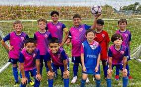 Image result for Hedingham Hawks Youth Football Club