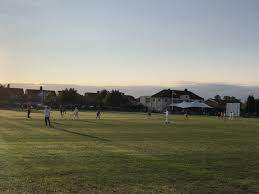 Image result for Old Dorkinian Cricket Club