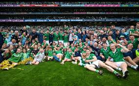 Image result for University Of Limerick Gaa Hurling Club