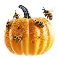 Image result for Boccia In Epsom & Ewell (Bees)