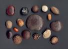 The seeds were gathered - via Daymix
