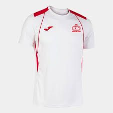 Image result for Dunfermline and West Fife Athletic Club