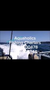 Image result for Petrus rupestris