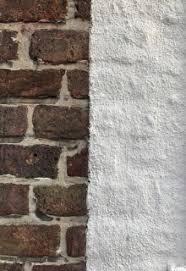 Image result for kaleien