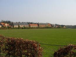 Image result for Wolviston Cricket Club