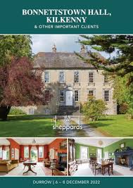 Image result for Kilkenny Bandits