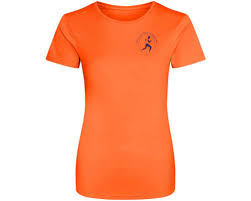 Image result for Wee County Harriers