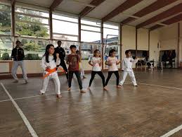 Image result for HEIWA SHOTOKAN KARATE CLUB