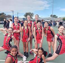 Image result for Wigan Juniors Yc Netball Club